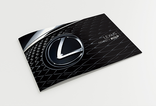 Lexus Warranty Booklet